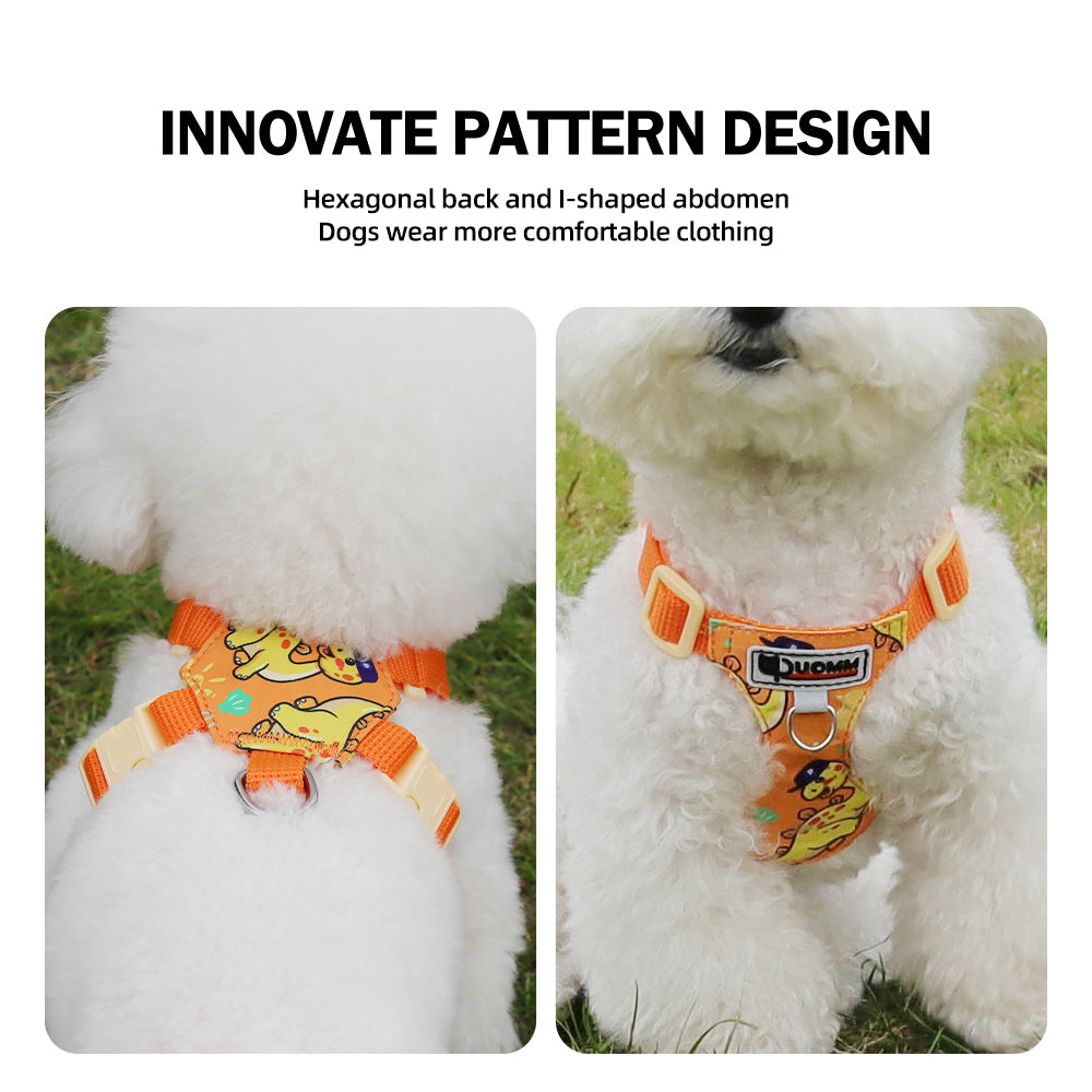 Playful Print Step-In Pet Harness and Leash Set