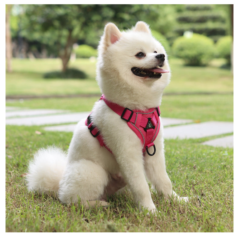 Feather Fit Breathable Pet Harness and Leash Set