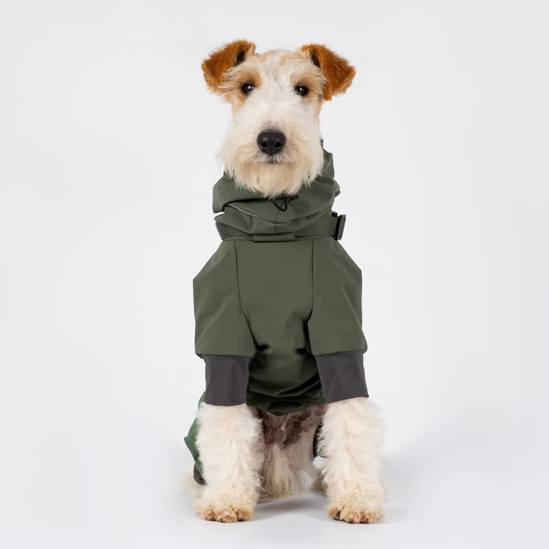 All-Weather Outdoor Adventure Dog Jacket