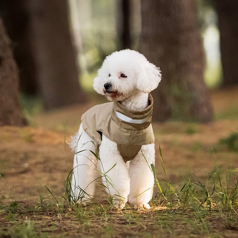 Lightweight Waterproof Dog Outdoor Jacket