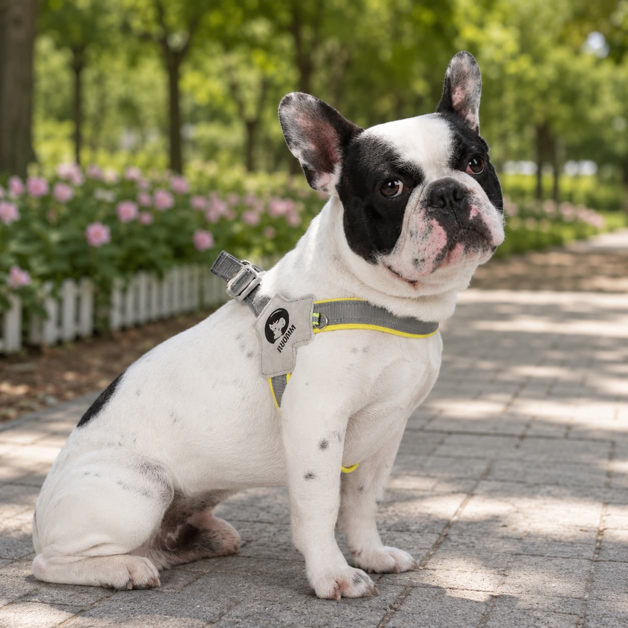 Daybeam Reflective Harness & Leash Set