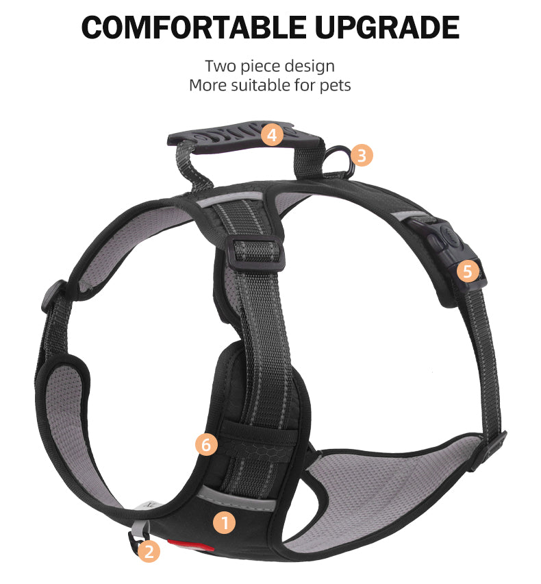 Crest Assist Reflective Dog Harness & Leash Set