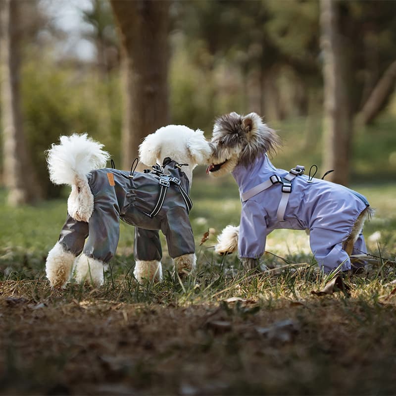 All-Weather Dog Adventure Suit
