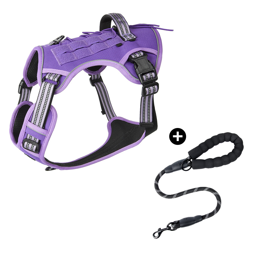 Trail Forge Multi-Use Dog Harness and Leash Set