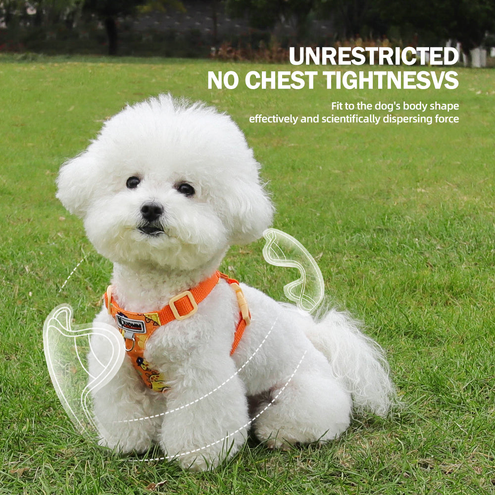 Playful Print Step-In Pet Harness and Leash Set