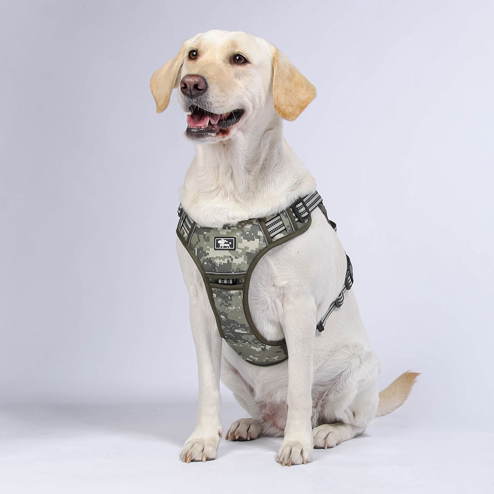 Trail Forge Multi-Use Dog Harness and Leash Set