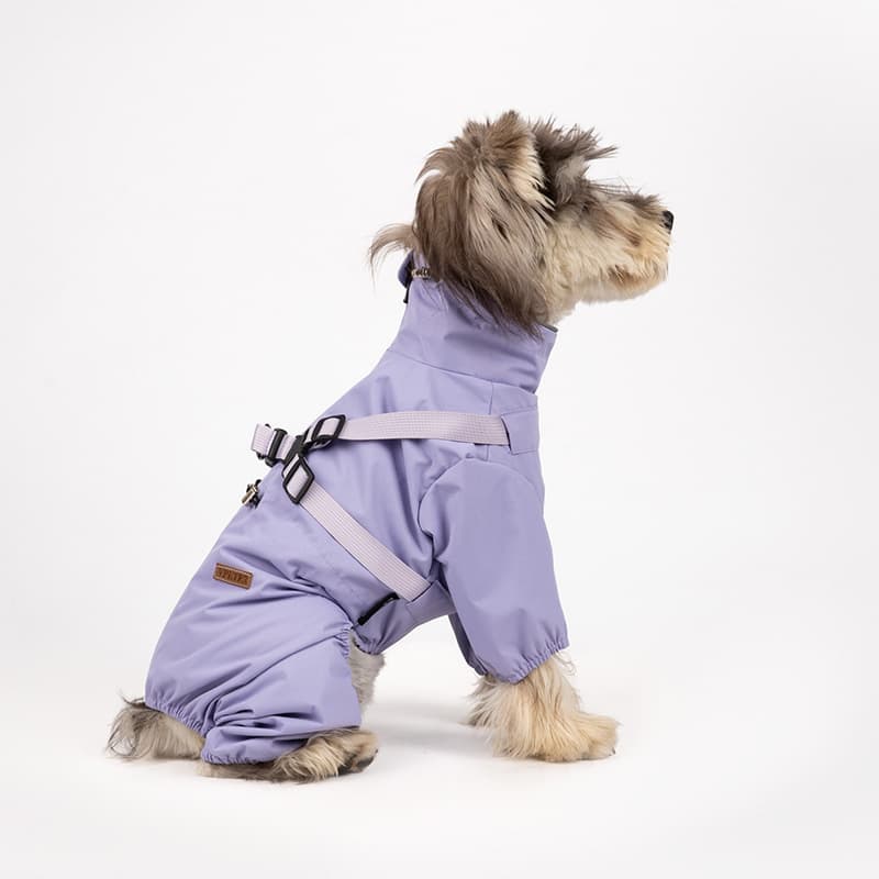All-Weather Dog Adventure Suit