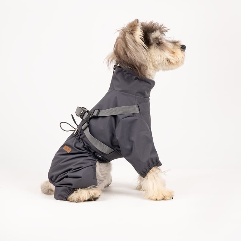 All-Weather Dog Adventure Suit