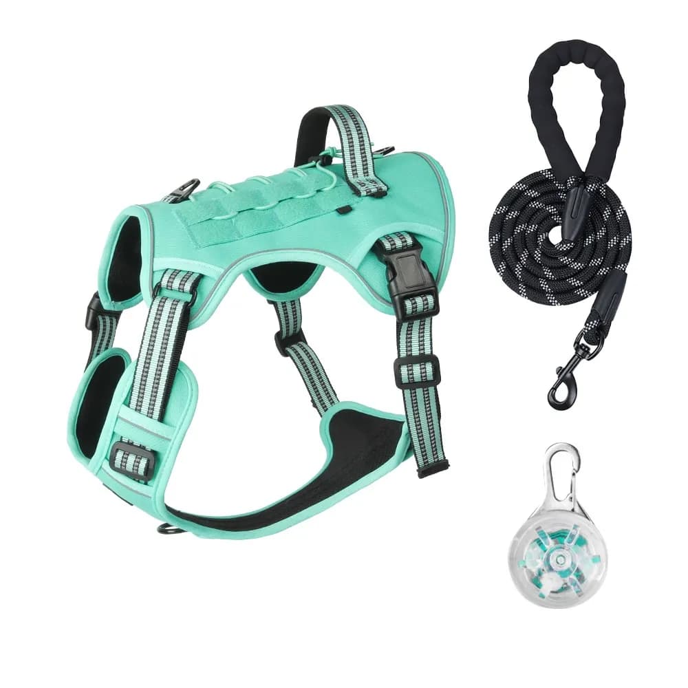 Luma Guard LED Dog Harness & Leash Set