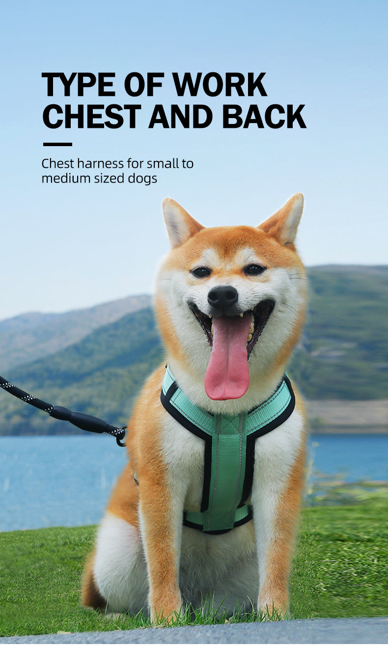 Core Walk Adjustable No-Pull Dog Harness