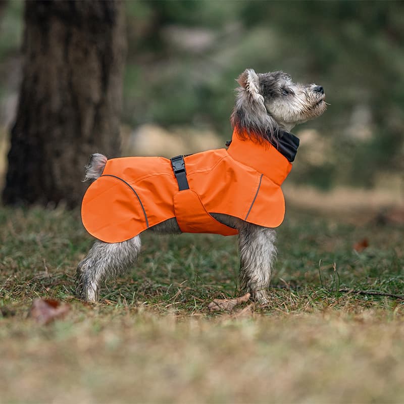 Breathable Dog Adventure Rain Coat