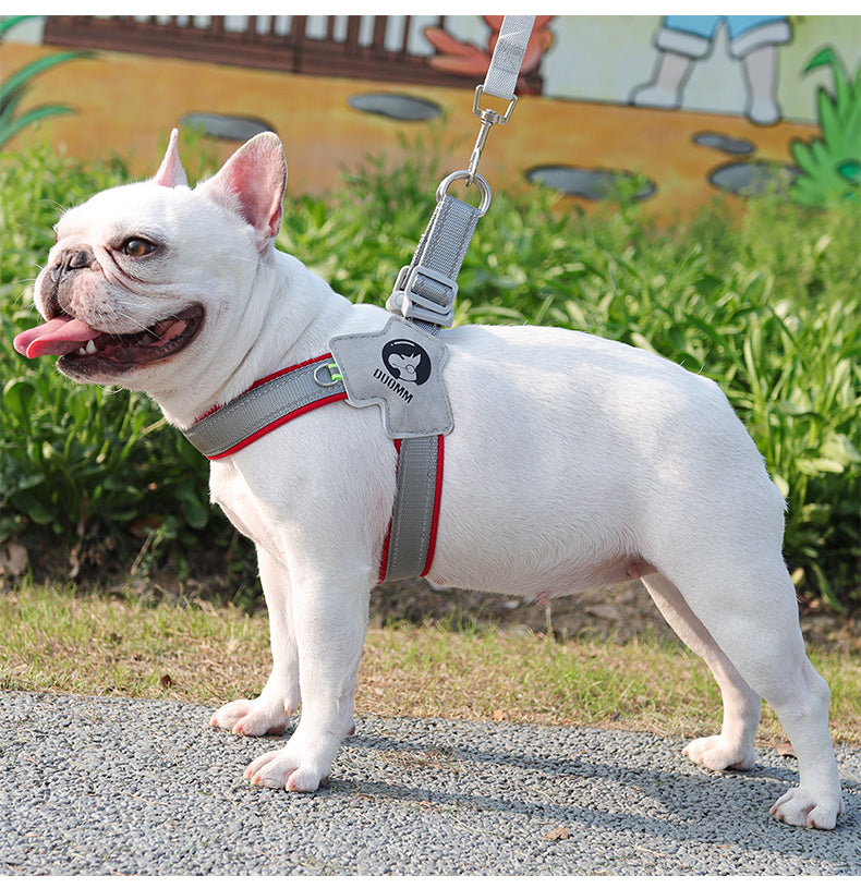 Urban Loop Lightweight Reflective Dog Harness