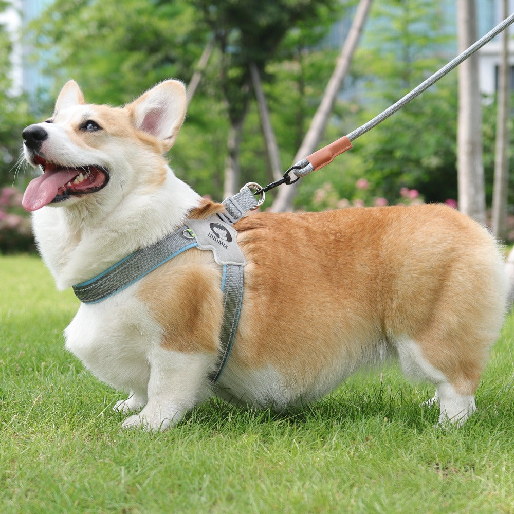 Night Weave LED Dog Harness & Leash Set