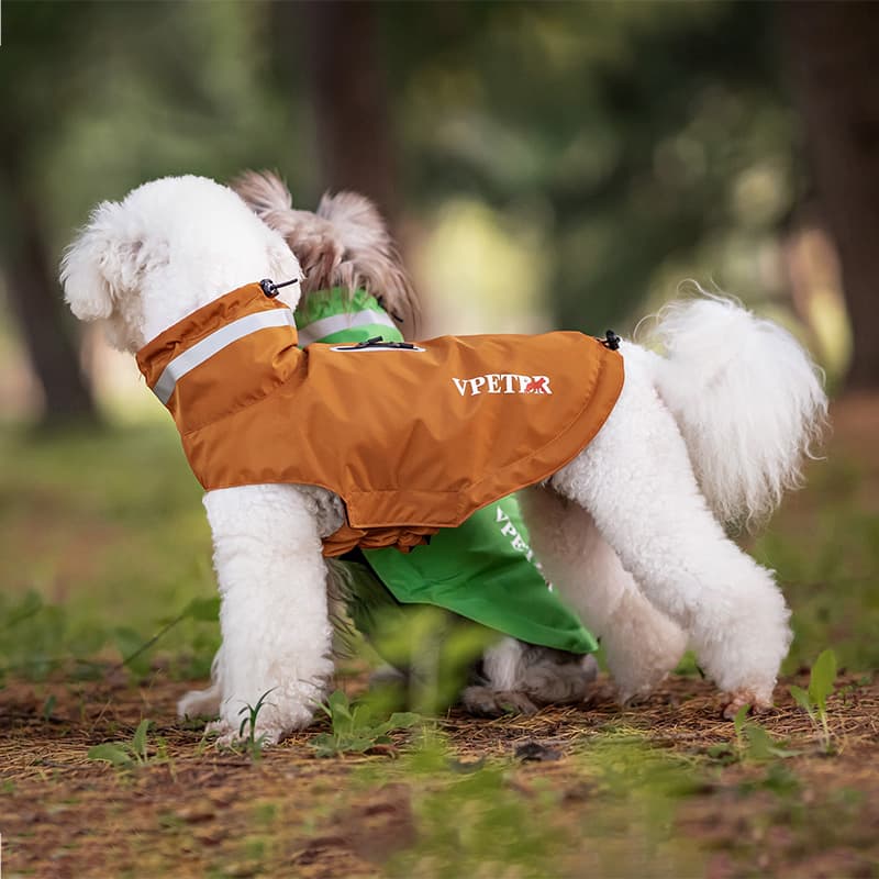 Lightweight Waterproof Dog Outdoor Jacket