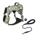 Trail Forge Multi-Use Dog Harness and Leash Set