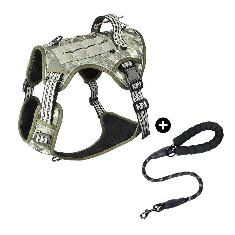 Trail Forge Multi-Use Dog Harness and Leash Set