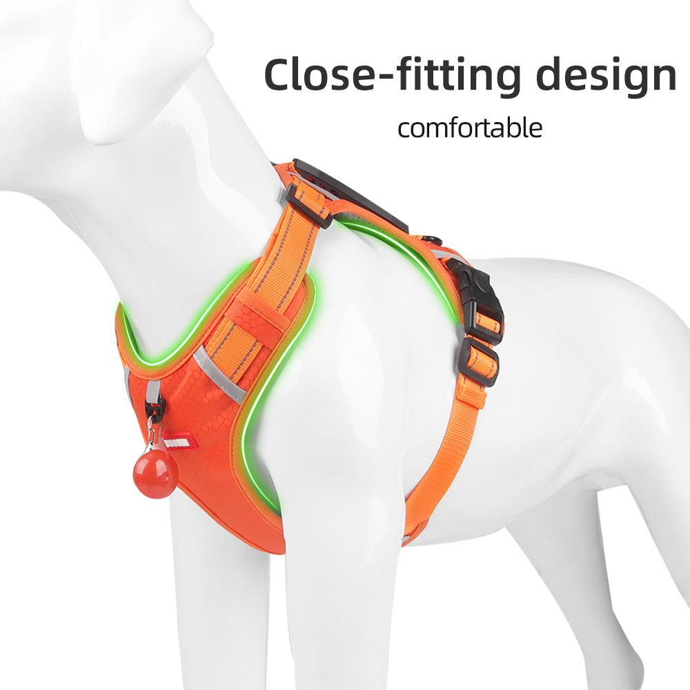 Northpath Control Dog Harness & Leash Set