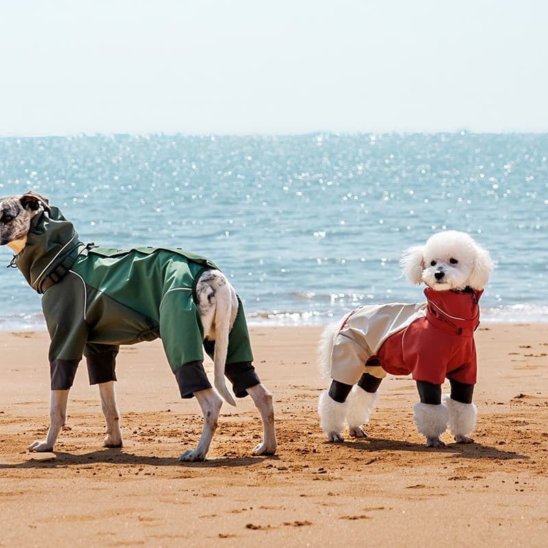 All-Weather Outdoor Adventure Dog Jacket