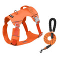 Coast Flow Quick-Dry Dog Harness & Leash Set