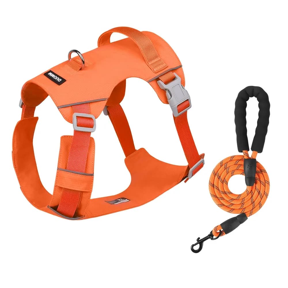 Coast Flow Quick-Dry Dog Harness & Leash Set