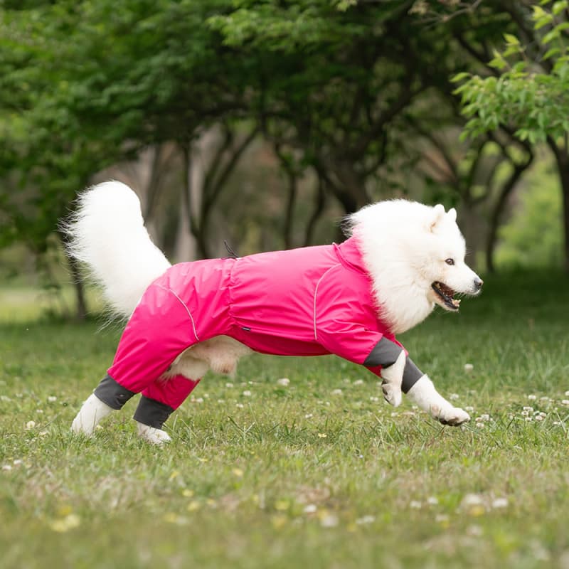 Lightweight Full Coverage Dog Rain Jacket