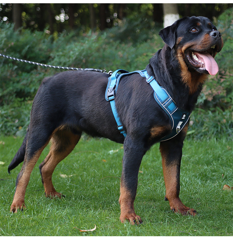 Overland Fit Padded Dog Harness and Leash Set