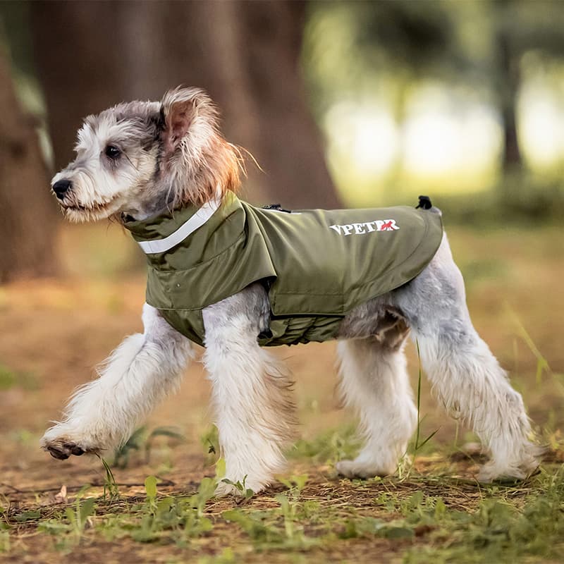 Lightweight Waterproof Dog Outdoor Jacket