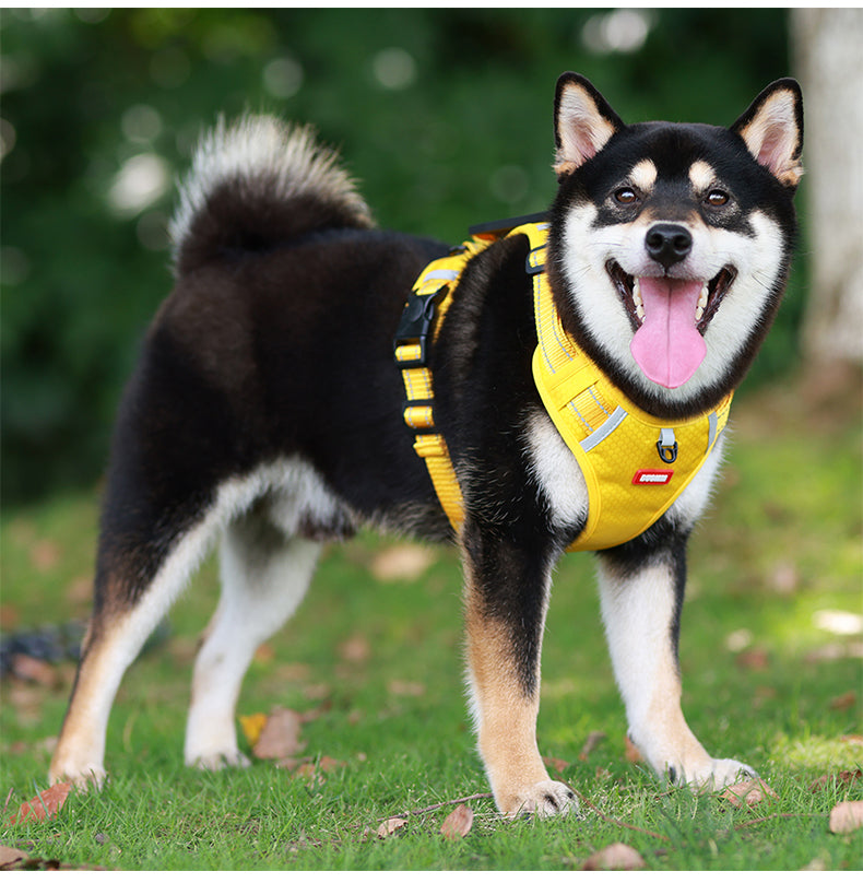 Motion Guard Reflective No-Pull Dog Harness with Handle