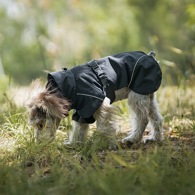 Breathable Dog Adventure Rain Coat