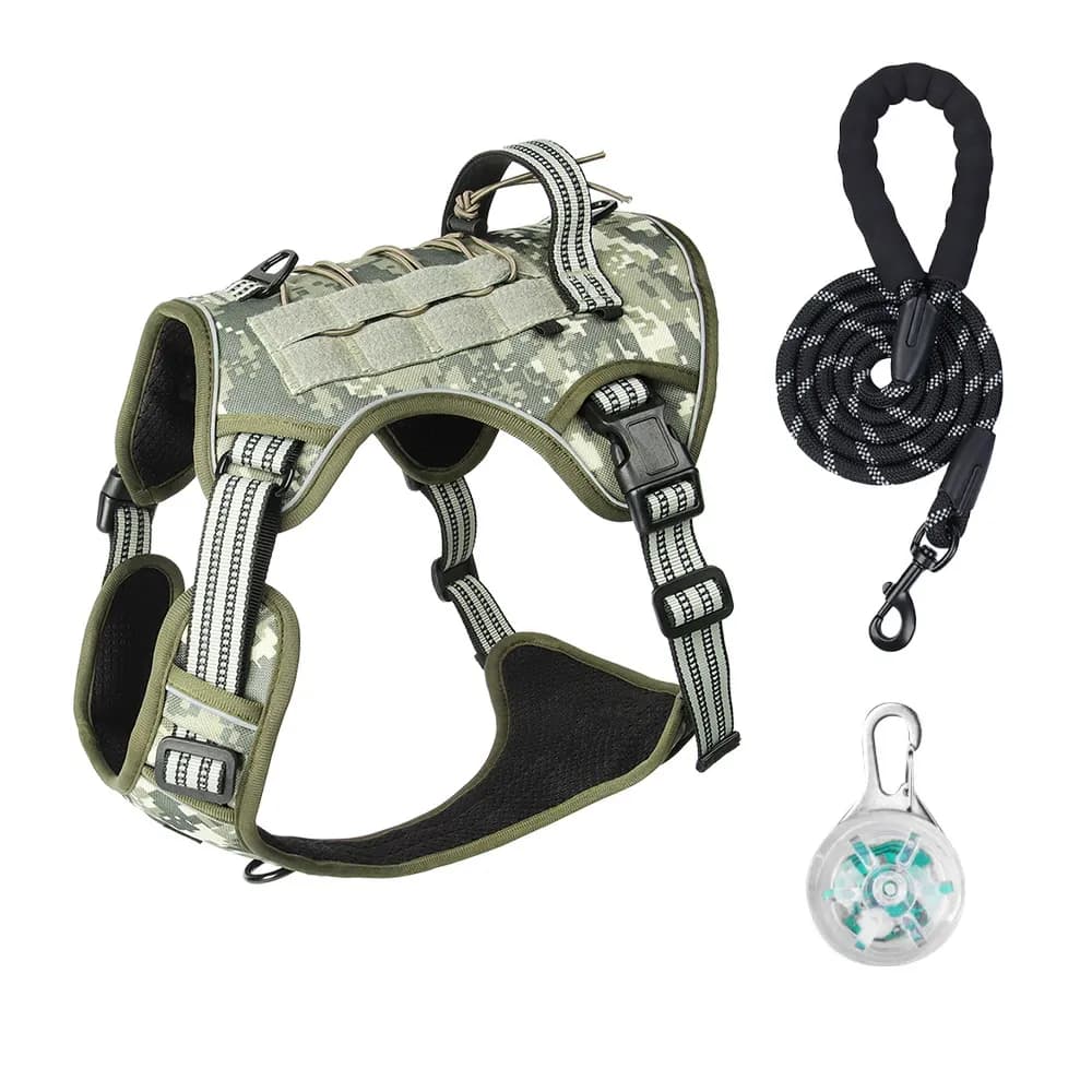Luma Guard LED Dog Harness & Leash Set