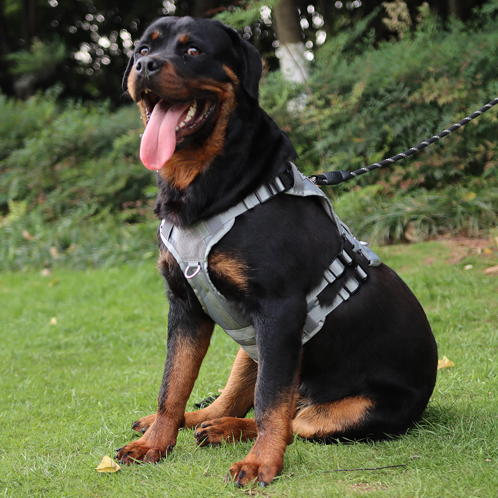 Summit Control Tactical Dog Harness with Handle