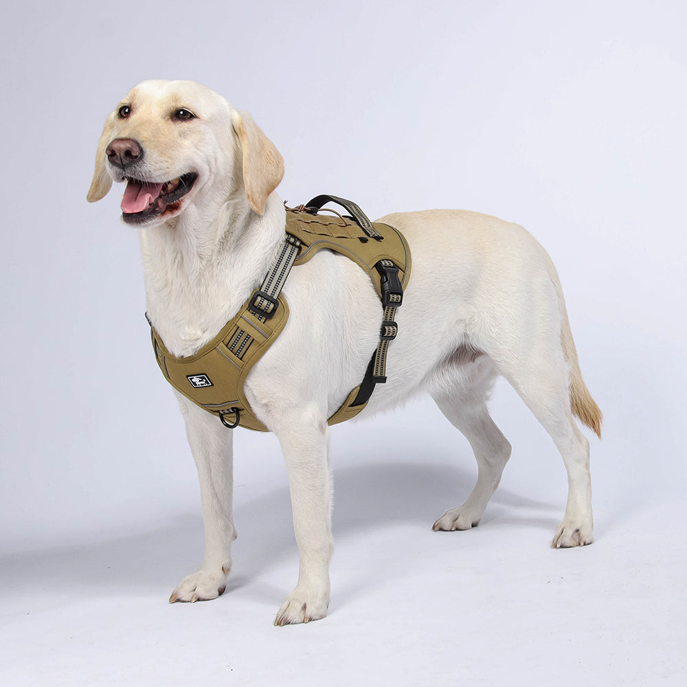 Field Trek Multi-Use Training Dog Harness with Handle