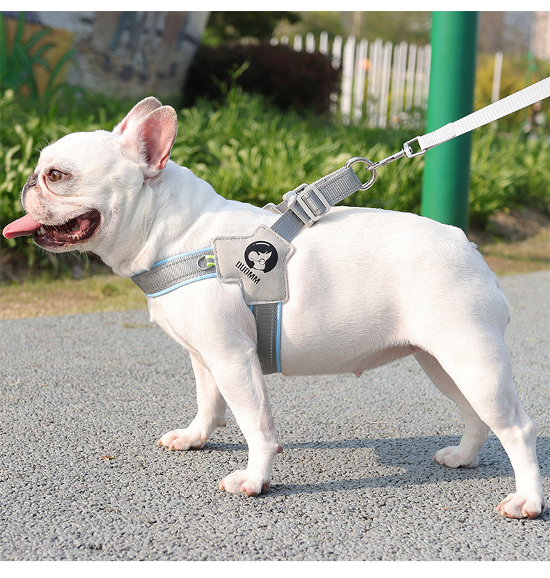 Urban Loop Lightweight Reflective Dog Harness