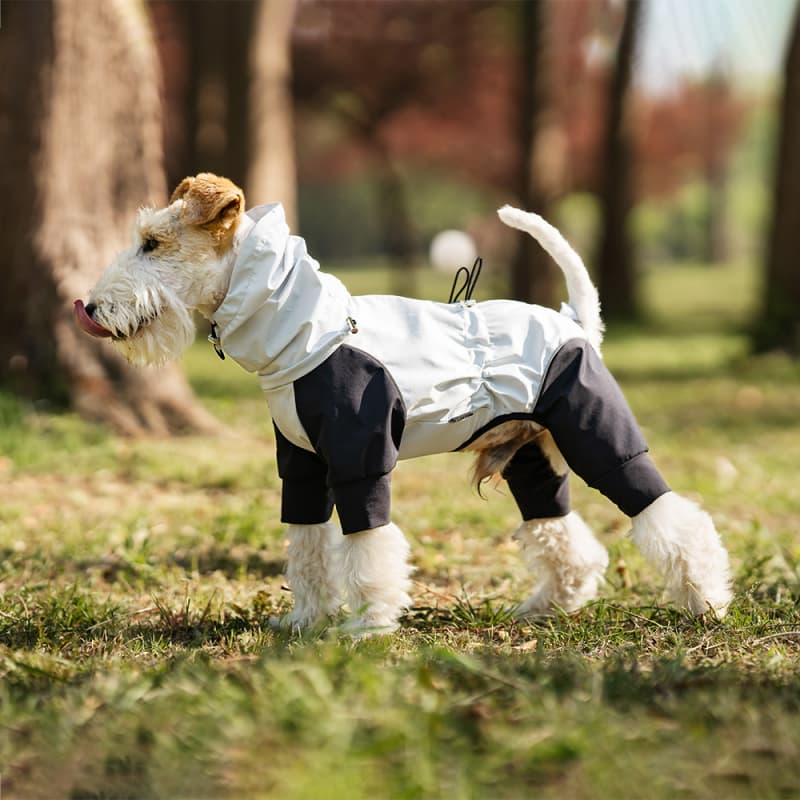 Lightweight Full Coverage Dog Rain Jacket