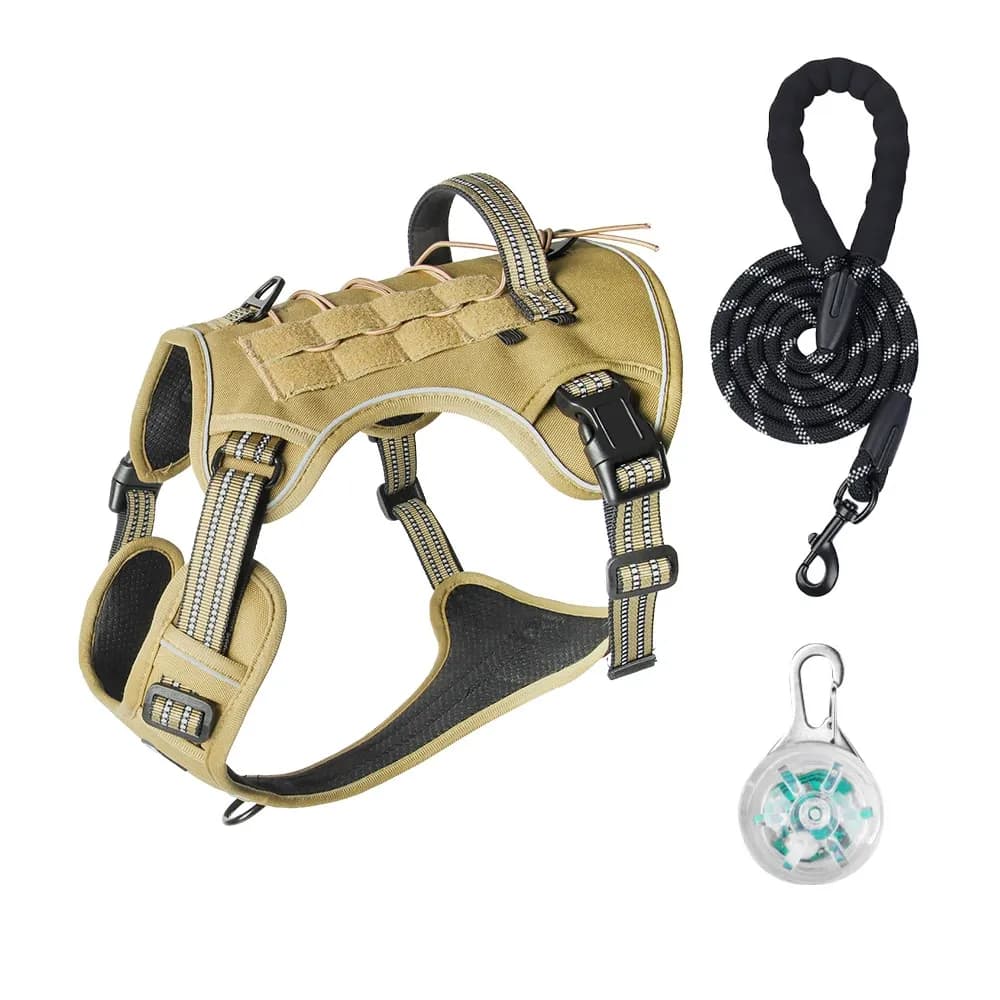 Luma Guard LED Dog Harness & Leash Set