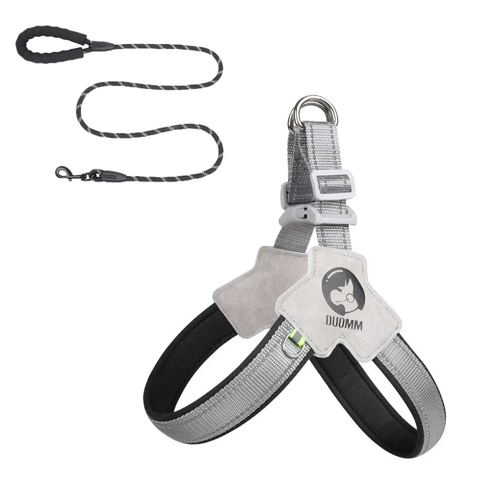 City Halo Reflective Harness & Leash Set