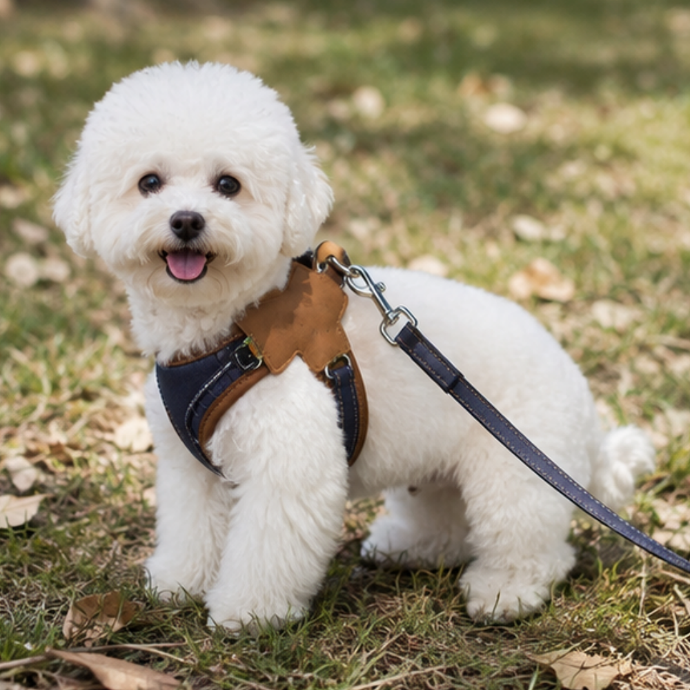 Heritage Loop Reflective Step-In Dog Harness