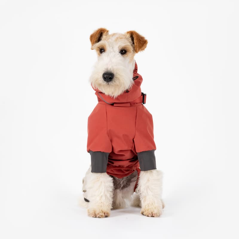 All-Weather Outdoor Adventure Dog Jacket