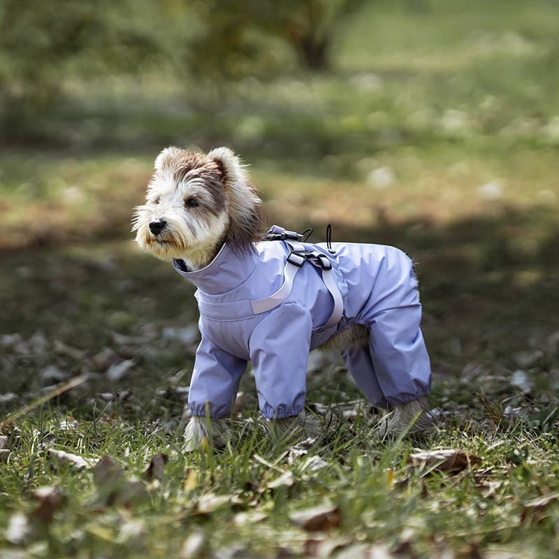All-Weather Dog Adventure Suit
