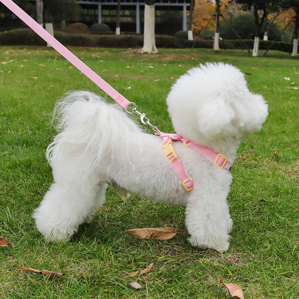 Playful Print Step-In Pet Harness and Leash Set