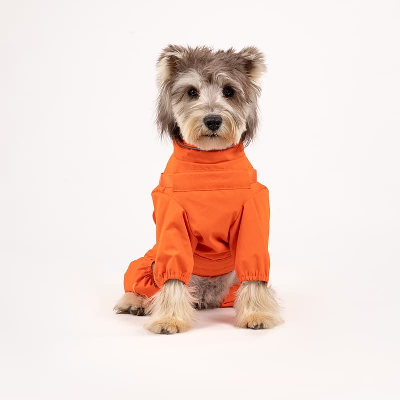All-Weather Dog Adventure Suit