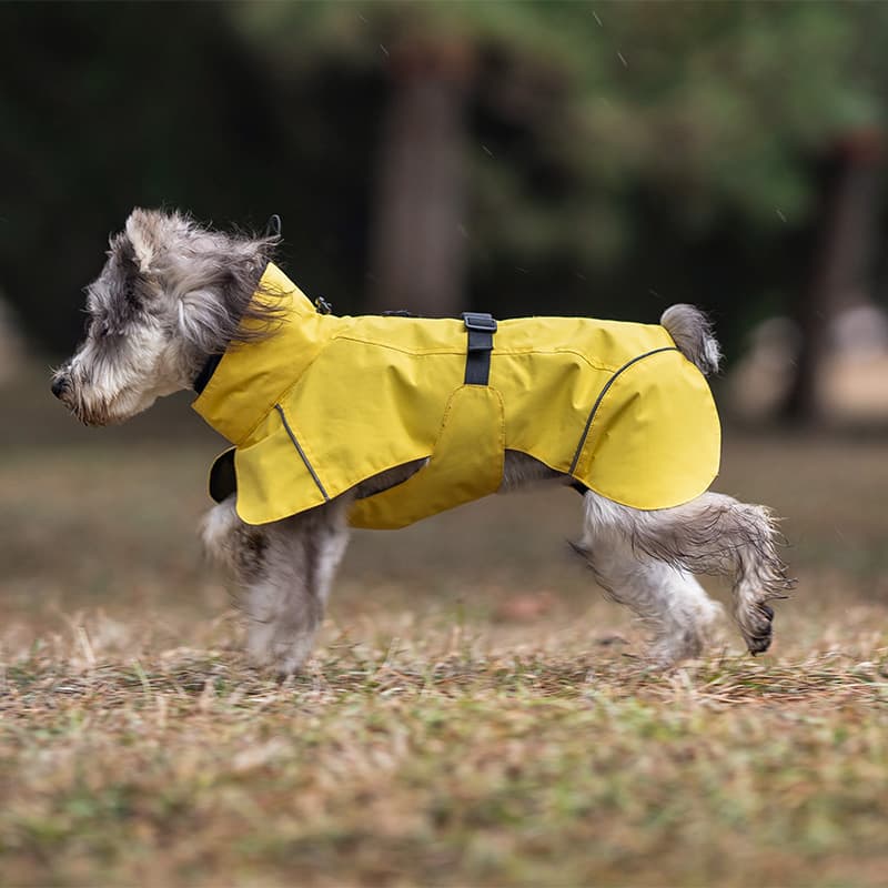Breathable Dog Adventure Rain Coat – FourFurPets