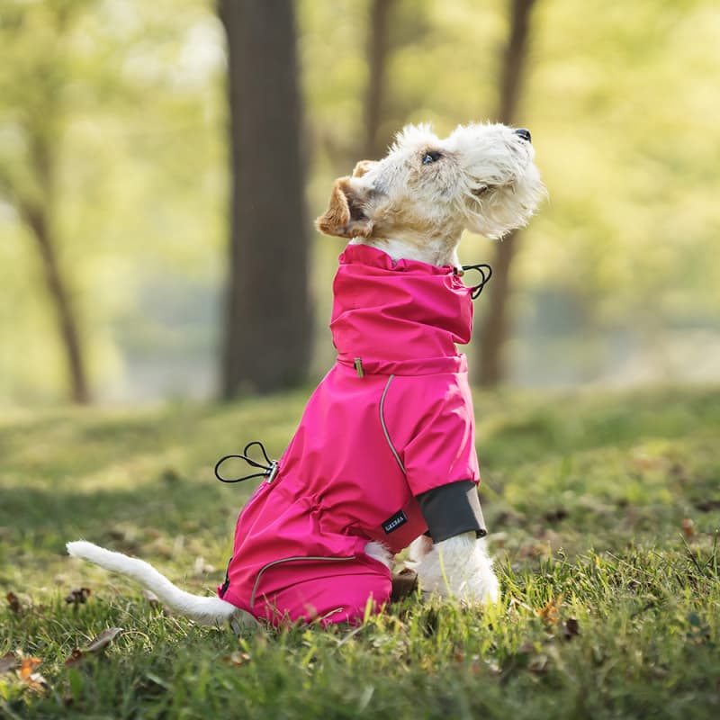 Lightweight Full Coverage Dog Rain Jacket