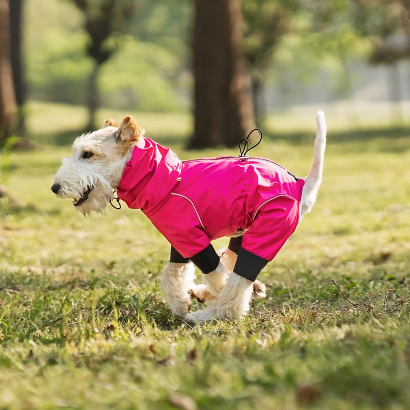 Lightweight Full Coverage Dog Rain Jacket