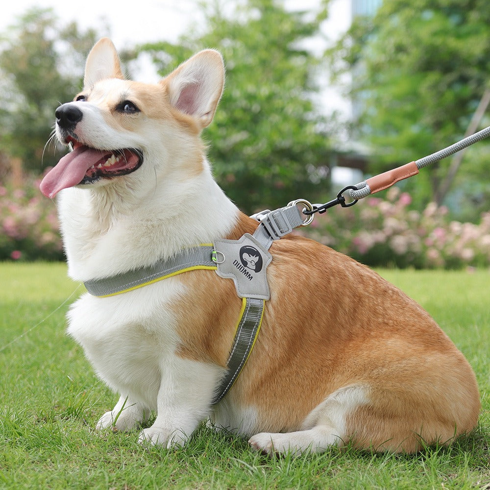 Daybeam Reflective Harness & Leash Set