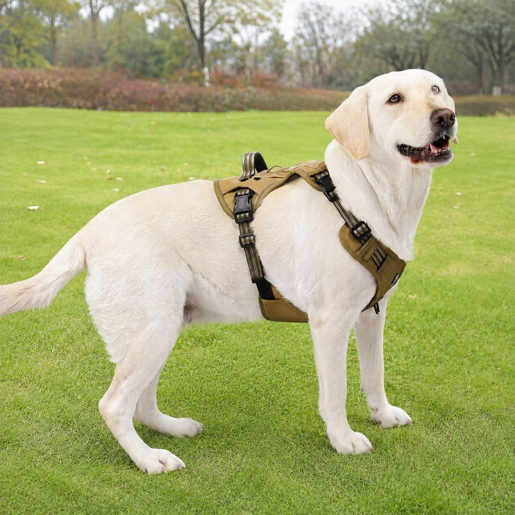 Field Trek Multi-Use Training Dog Harness with Handle