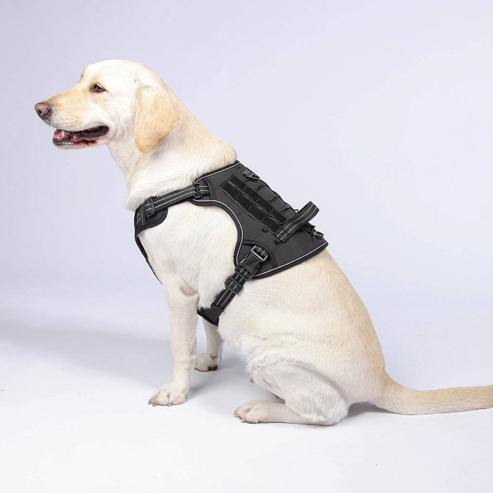 Field Trek Multi-Use Training Dog Harness with Handle