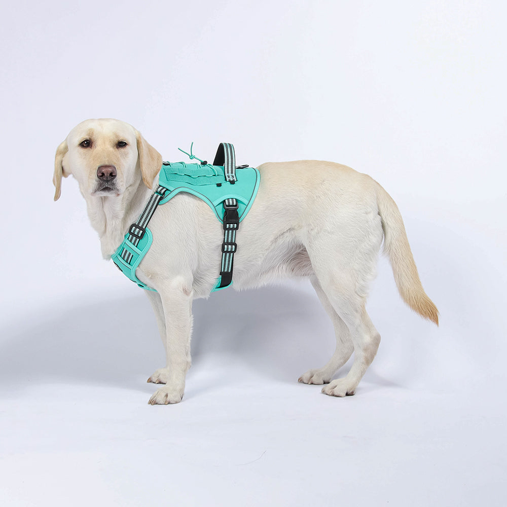 Luma Guard LED Dog Harness & Leash Set
