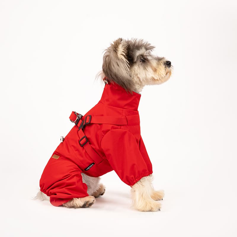 All-Weather Dog Adventure Suit