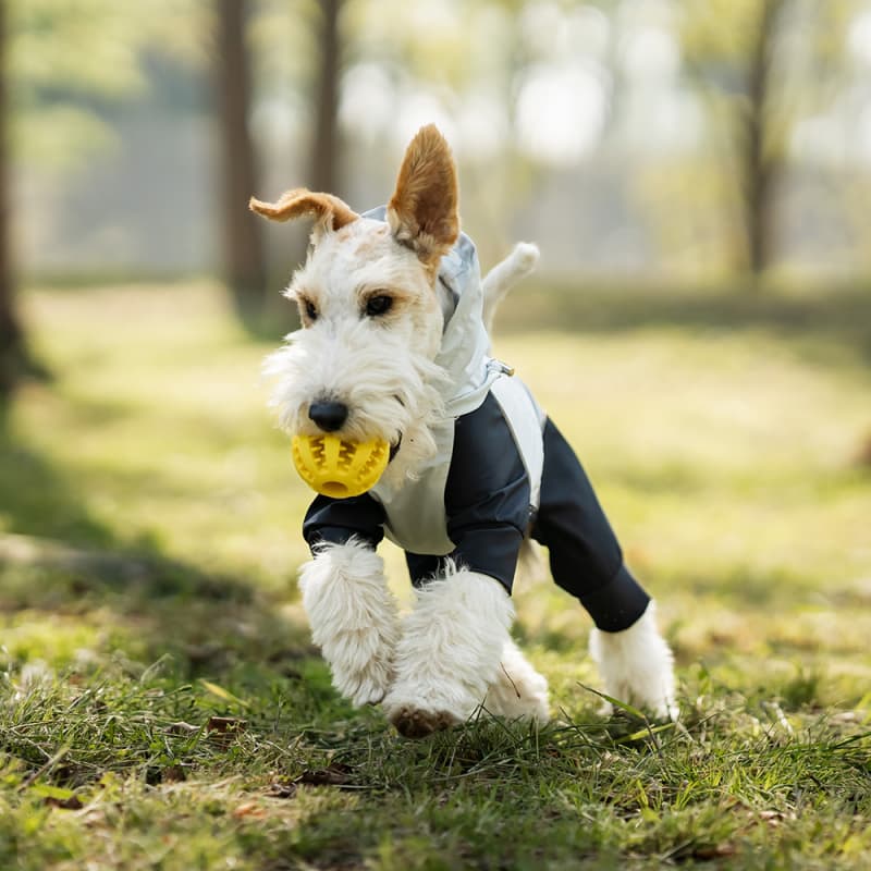 Lightweight Full Coverage Dog Rain Jacket